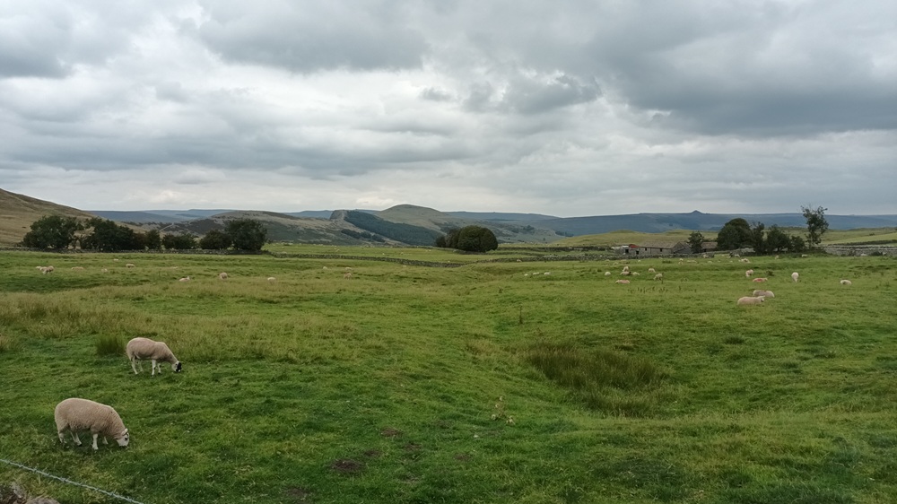 Robert Holt of Stubley